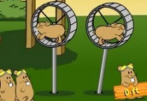Flug der Hamster