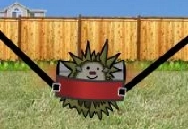 Hedgehog Launch