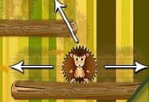 Hedgehog Challenge