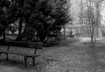 Walk In The Park