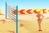 Play Beach Vollyball