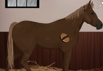 Play Traum Pferd Play Traum Pferd
