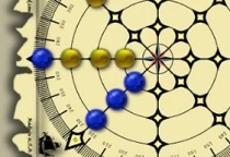 Rhumb Line