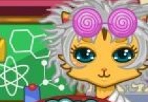 Vivo Kitty