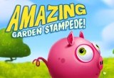 Play Amazing Garden Stampede