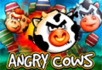 Angry Cows