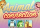 Animals Connection