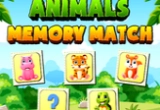 Animals Memo Match