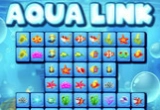 Aqua Link