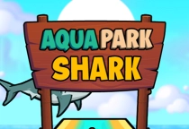 Aquapark Shark