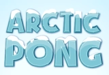 Arctic Pong