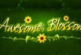 Play Awesome Blossom