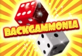 Backgammon Brettspiel