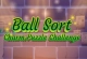 Ball Sort Color Puzzle