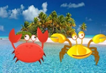 Beach Crab Pair Escape