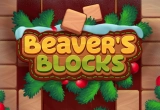 Beavers Block