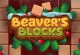 Beavers Block