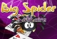 Spider Solitaire Groß