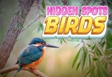 Birds Hidden Spots