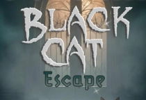 Black Cat Escape