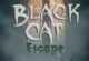 Black Cat Escape