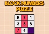 Block Numbers Puzzle