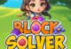 Block Solver