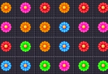 Bloom Crush