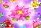 Play Blossom Game