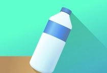Bottle Flip