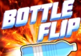 Bottle Flip Challenge