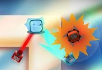 Box Dude TD DX