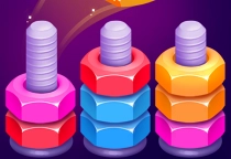 Nuts Puzzle Sort by Color
