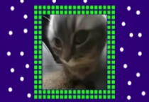 Brick Breaker Chipi Chipi Chapa Chapa Cat