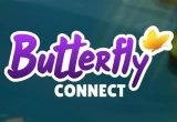 Butterfly Connect