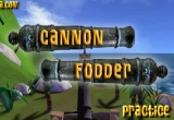 Play Cannon Fodder