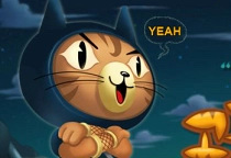 Cat Run