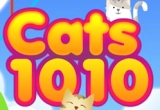 Cats 1010