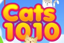 Cats 1010