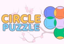 Circle Puzzle