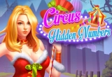 Circus Hidden Numbers