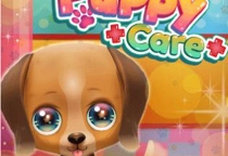Cute Puppy Care