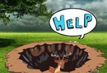 Deer Escape From Tiger