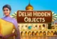 Delhi Hidden Objects