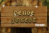 Dense Forest Escape