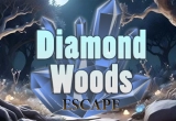 Diamond Woods Escape
