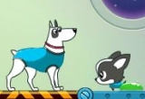 PLAY Dogs in Space