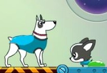 Dogs in Space
