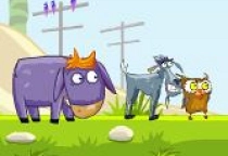 Donkey Sean