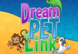 Dream Link